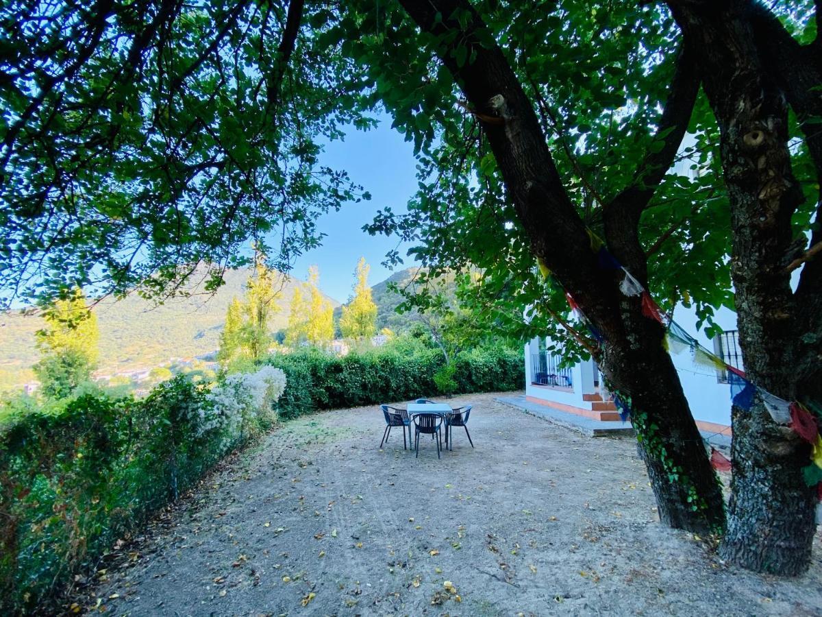 Stay Wild En Las Casitas De Huerta Arriba เบนามาโฮมา ภายนอก รูปภาพ